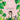 Princesses of India: A peek into the colorful stories of beautiful princesses from Indian mythology.