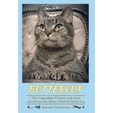 Buttercup - The Legendary Charm and Love of a Domestic Short-Haired Tabby Cat