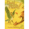 David and the Phoenix