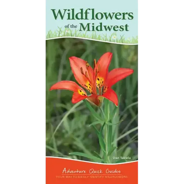 Wildflowers of the Midwest: Your Way to Easily Identify Wildflowers
