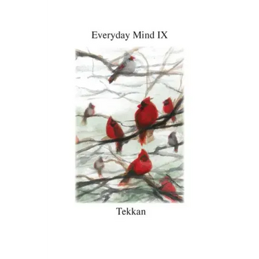 Everyday Mind IX