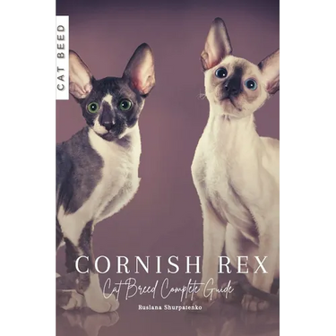 Cornish Rex: Cat Breed Complete Guide