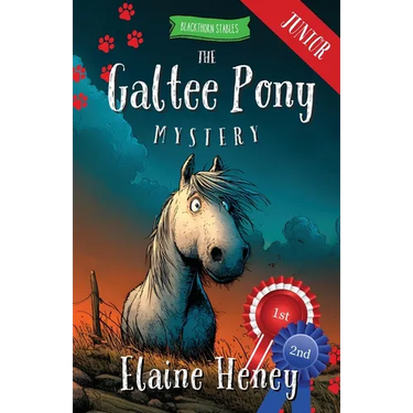 The Galtee Pony Mystery - Blackthorn Stables Junior