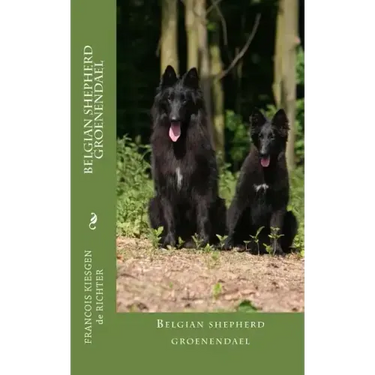 belgian shepherd groenendael