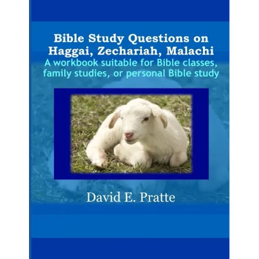 Bible Study Questions on Haggai, Zechariah, Malachi: A workbook suitable for Bible classes, family studies, or personal Bible study