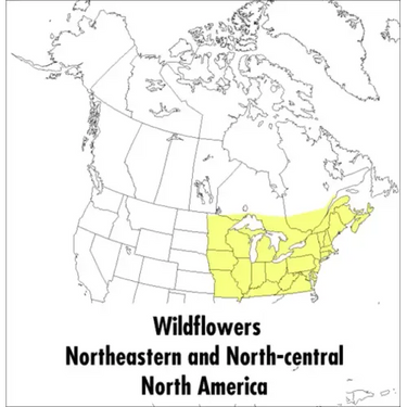 A Peterson Field Guide to Wildflowers: Northeastern and North-Central North America