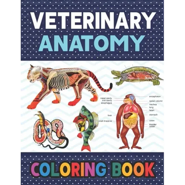 Veterinary Anatomy Coloring Book: Learn The Veterinary Anatomy With Fun & Easy. Animal Anatomy and Veterinary Physiology Coloring Book. Dog Cat Horse