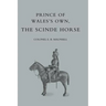 Prince of Wales's Own, the Scinde Horse
