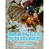 THE MANTIS SHRIMP Do Your Kids Know This?: A Children's Picture Book