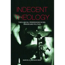 Indecent Theology