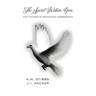 The Spirit Within You: The Church's Neglected Possession