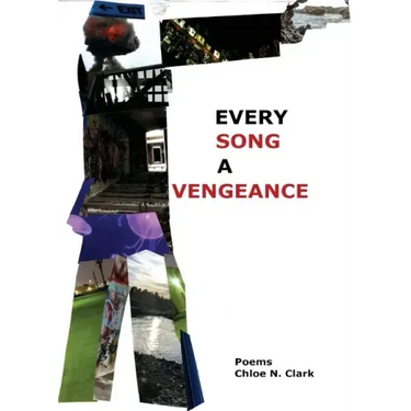 Every Song a Vengeance