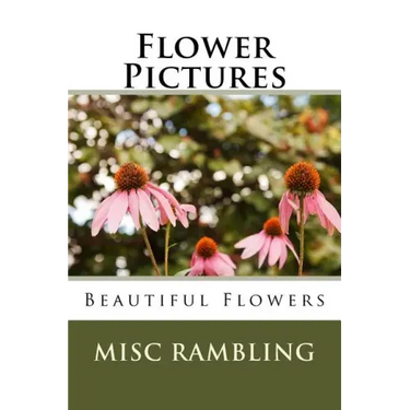 Flower Pictures: Flowers Photos