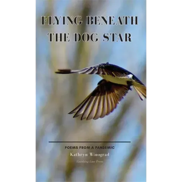 Flying Beneath the Dog Star: Poems from a Pandemic