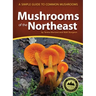 Mushrooms of the Northeast: A Simple Guide to Common Mushrooms