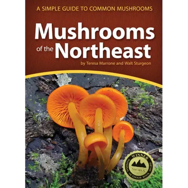 Mushrooms of the Northeast: A Simple Guide to Common Mushrooms