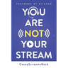 You Are Not Your Stream: A Twitch Broadcaster's Guide to Success Online and Behind the Scenes
