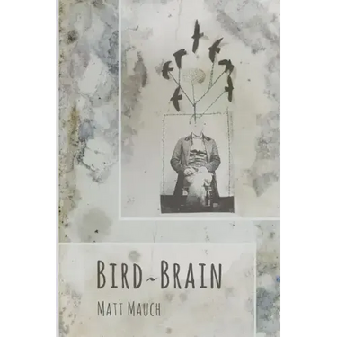 Bird Brain