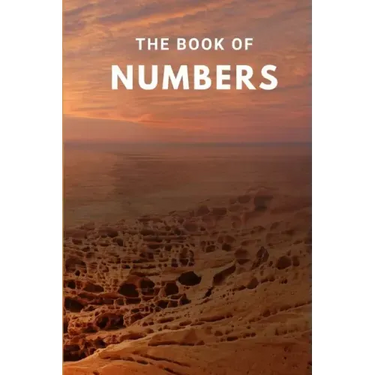 The Book Of Numbers
