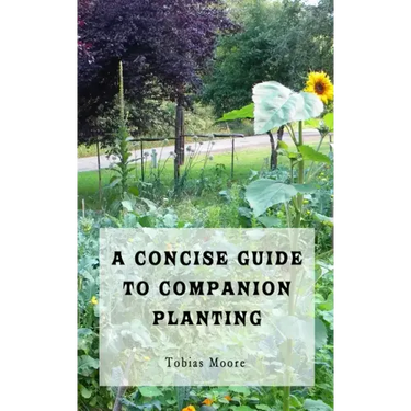 A Concise Guide to Companion Planting