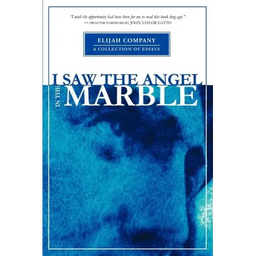 I Saw the Angel in the Marble