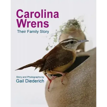 Carolina Wrens: Their Family Story