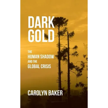 Dark Gold: The Human Shadow and the Global Crisis