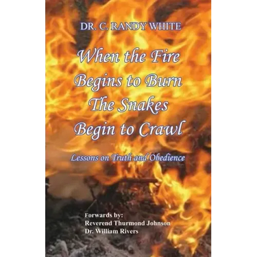 When the Fire Begins to Burn the Snakes Begin to Crawl