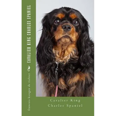 Cavalier King Charles Spaniel