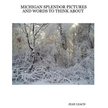 Michigan Splendor Pictures and Words to Think about