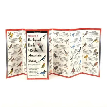 Sibley's Back. Birds of Rocky Mountain States