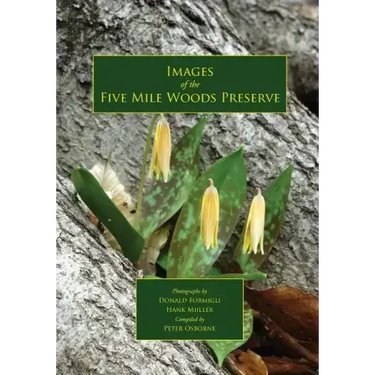 Images of the Five Mile Woods Preserve