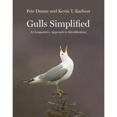 Gulls Simplified: A Comparative Approach to Identification
