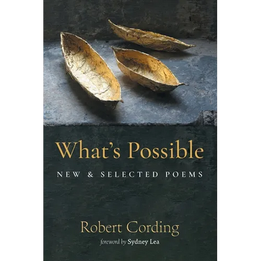 What's Possible: New & Selected Poems