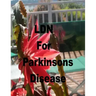 LDN for Parkinson's Disease: Low Dose Naltrexone