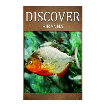 Piranha - Discover: Early reader's wildlife photography book