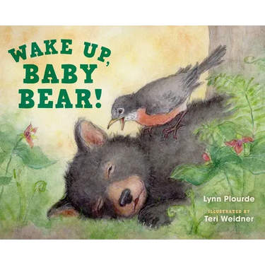 Wake Up, Baby Bear!