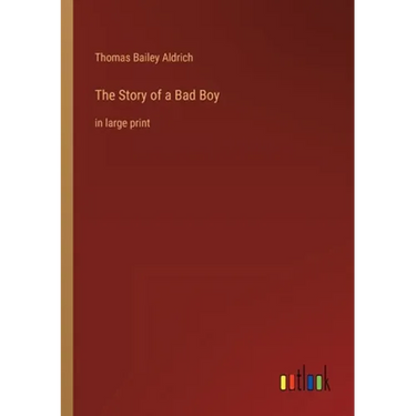 The Story of a Bad Boy: in large print