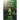 Reunion with Source