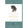 The Adventures of Amir Hamza