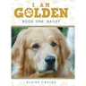 I Am Golden: Book One: Bailey