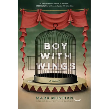 Boy With Wings