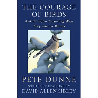 The Courage of Birds: And the Often Surprising Ways They Survive Winter