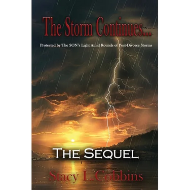 The Storm Continues... The Sequel: Protected by The Son's Light Amid Rounds of Post-Divorce Storms