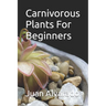 Carnivorous Plants For Beginners