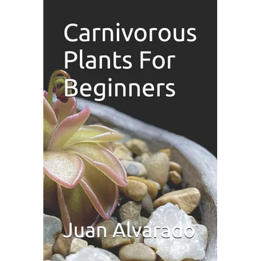 Carnivorous Plants For Beginners