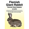 Flemish Giant Rabbit. Flemish Giant Rabbits as pets. Flemish Giant Rabbit book for pros and cons, care, housing, cost, diet and health.