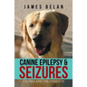 Canine Epilepsy & Seizures: Causes and Treatments