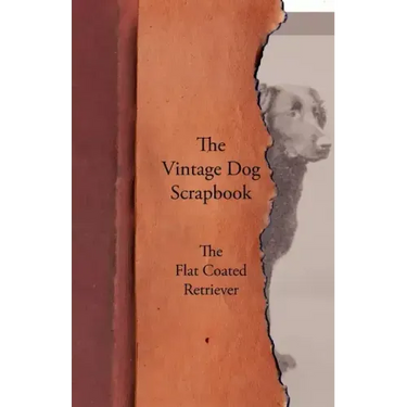 The Vintage Dog Scrapbook - The Flat Coated Retriever