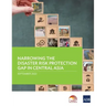Narrowing the Disaster Risk Protection Gap in Central Asia